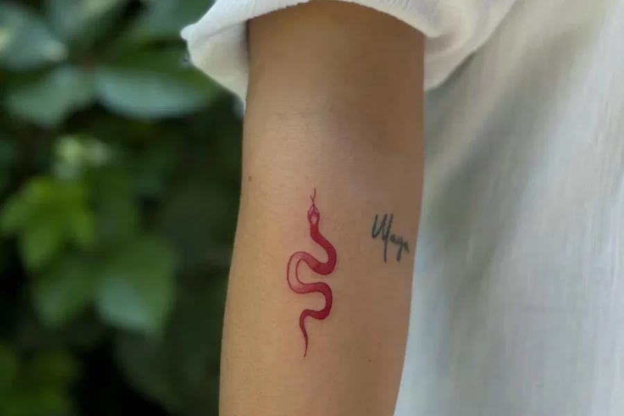 Gaziantep’te Dövme Tarzları Hangi Stil Size Göre?